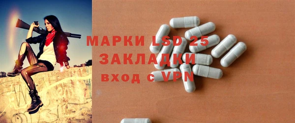 прущие грибы Алзамай