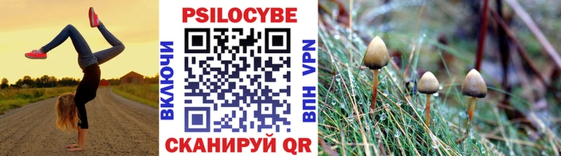Псилоцибиновые грибы Psilocybine cubensis  Тотьма 